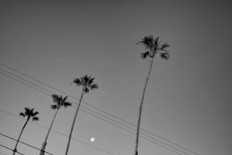 Cassidy Street Moon Rise