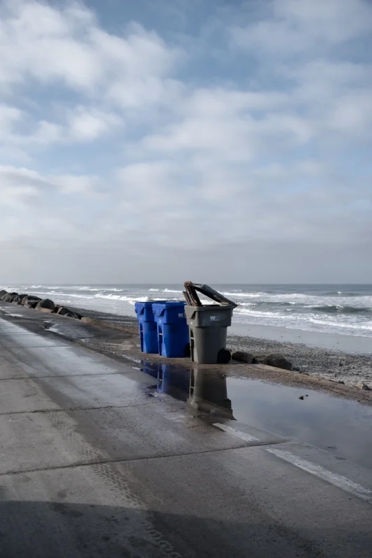 Pacific Trashday, South The Strand