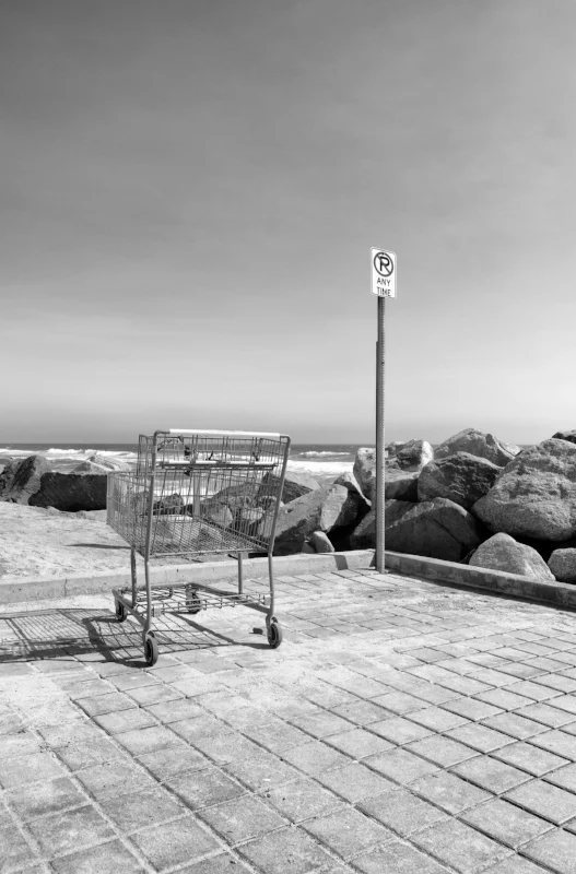 Shoppin Cart no parking.jpg