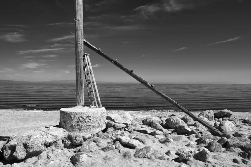 Drift Wood