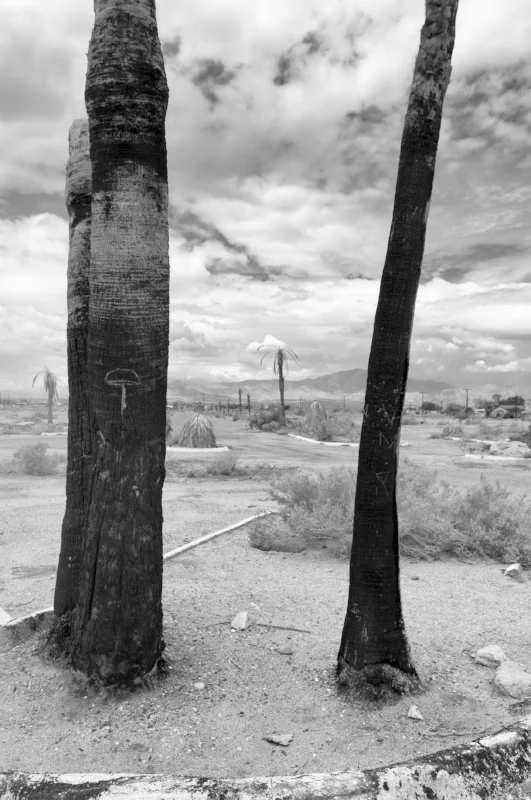 Dead California II