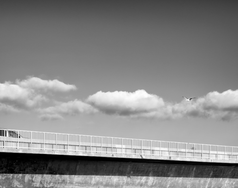 Coastal Traffic
