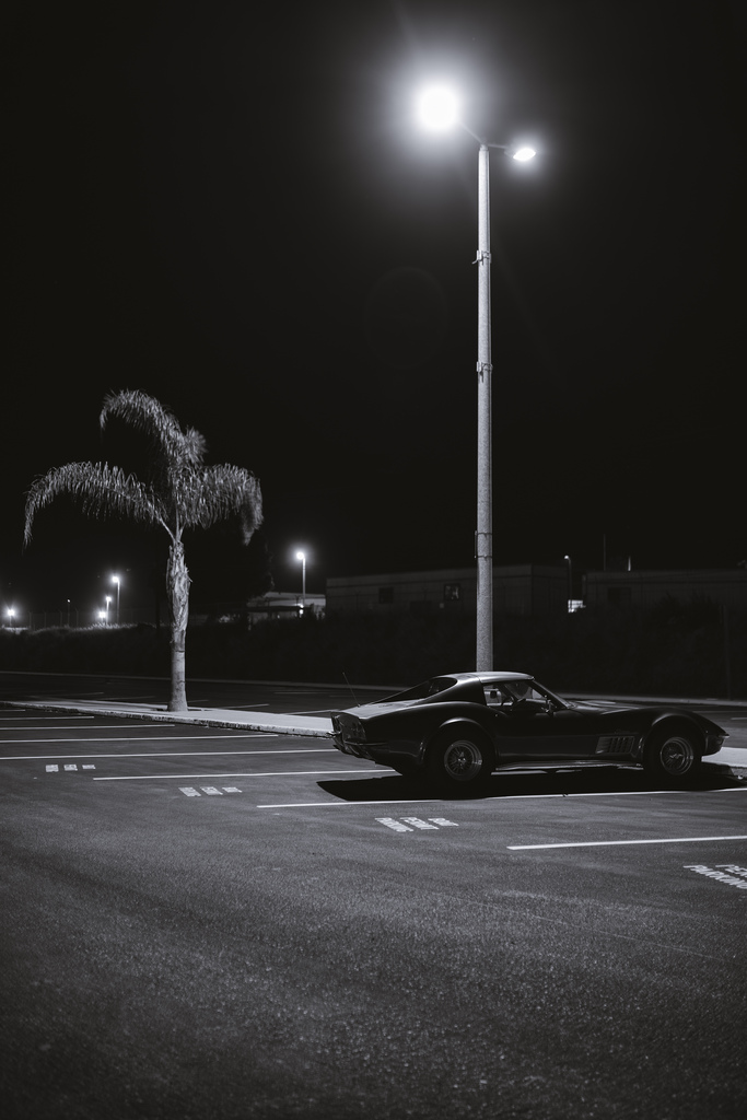 Nocturnal Emissions: Corvette