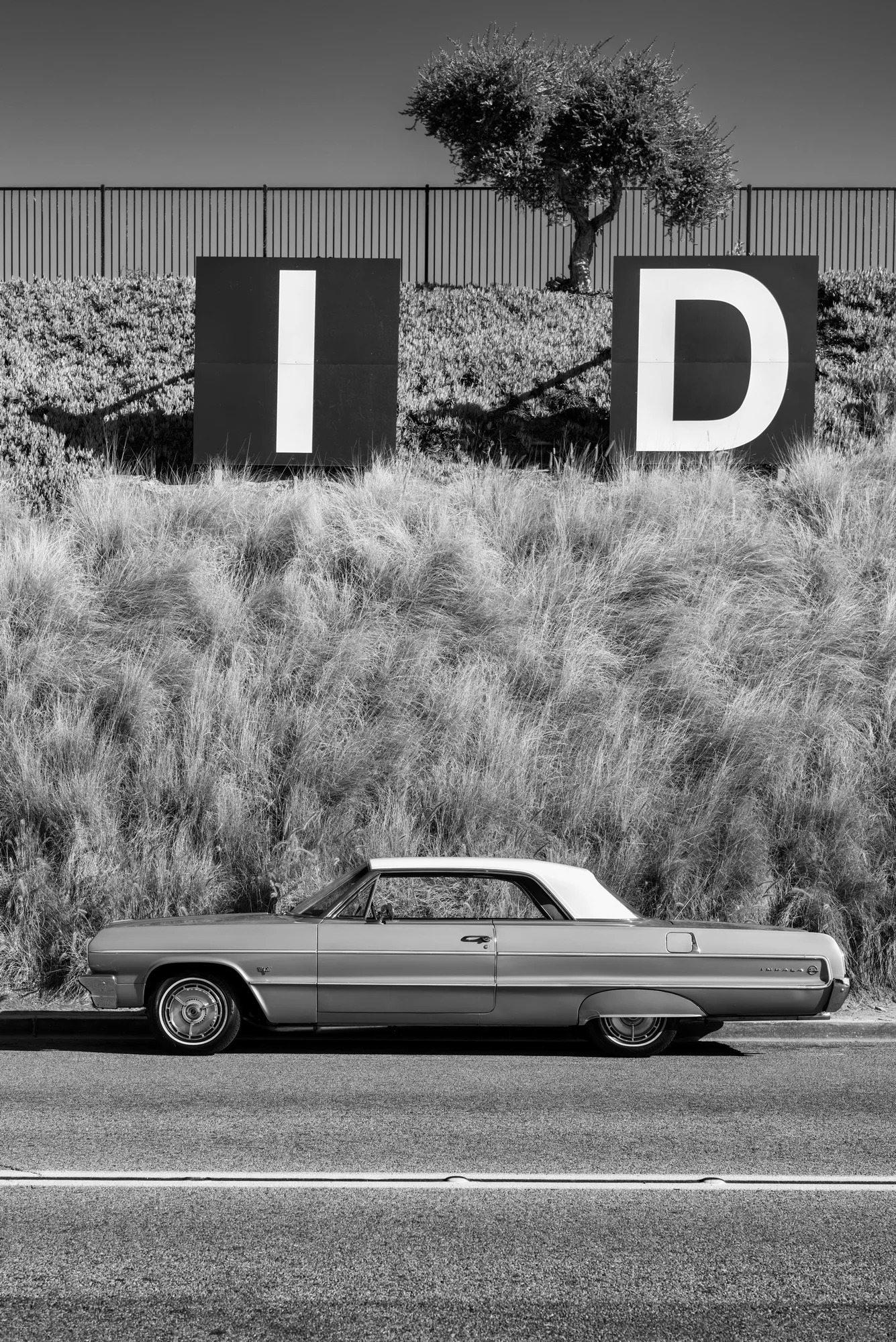 Oceanside Impala