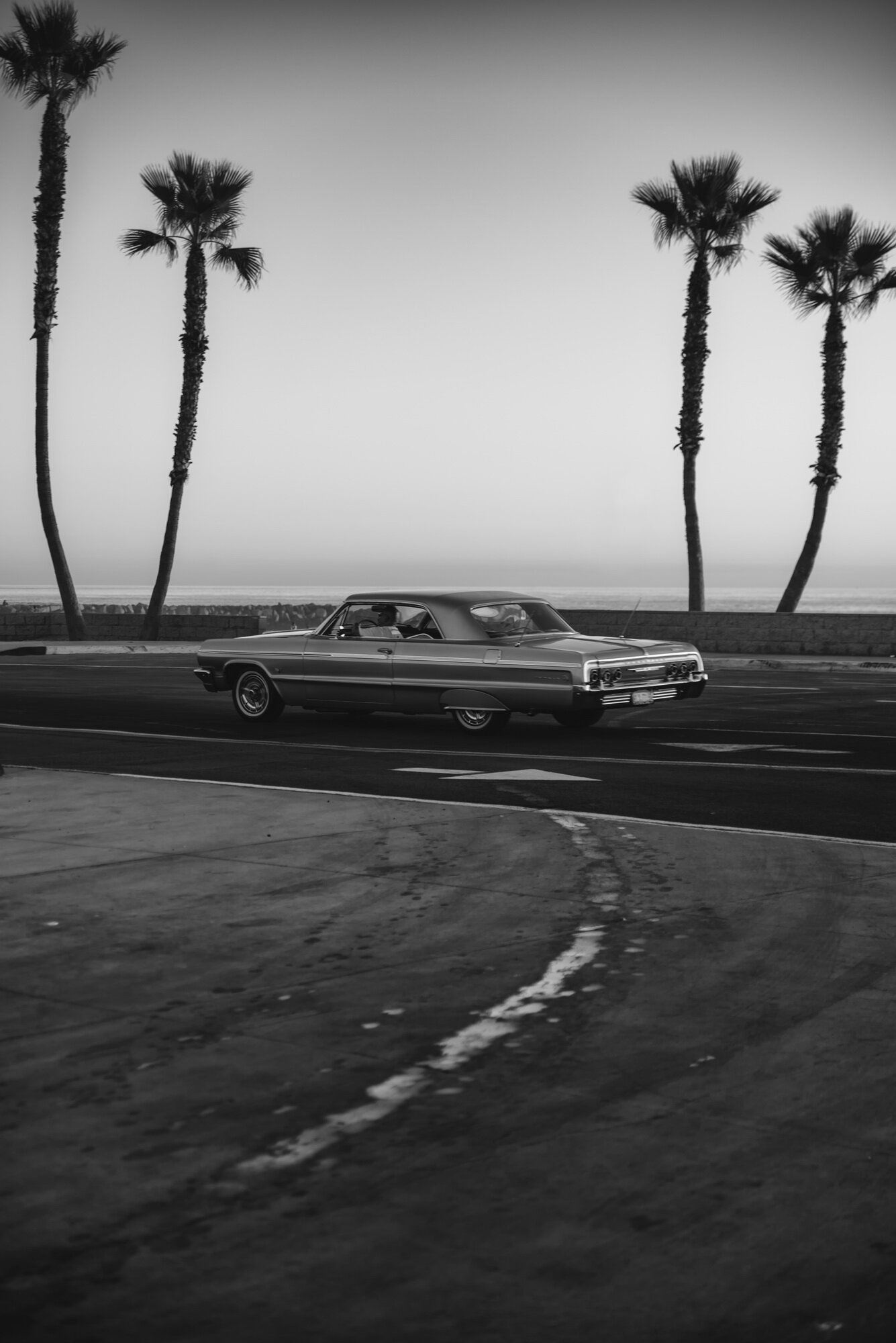 Impala Sunset Cruise
