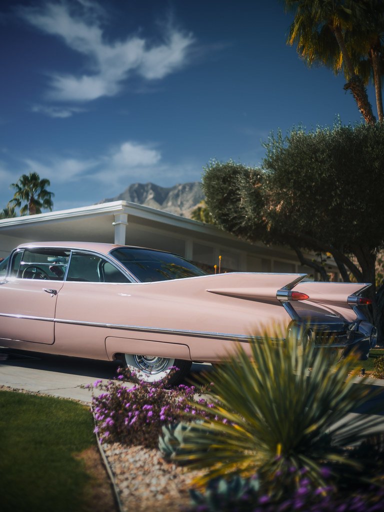 Palm Springs Pink I