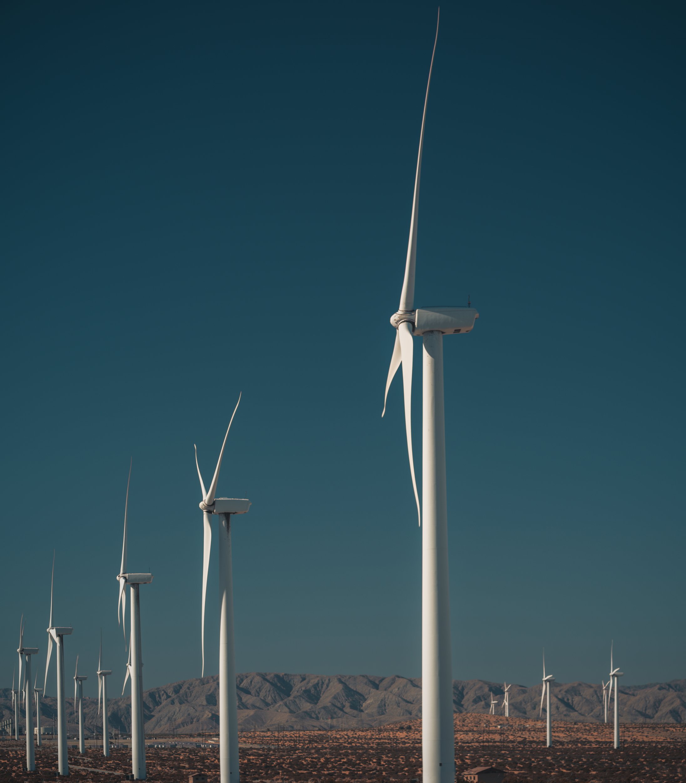 Desert Wind