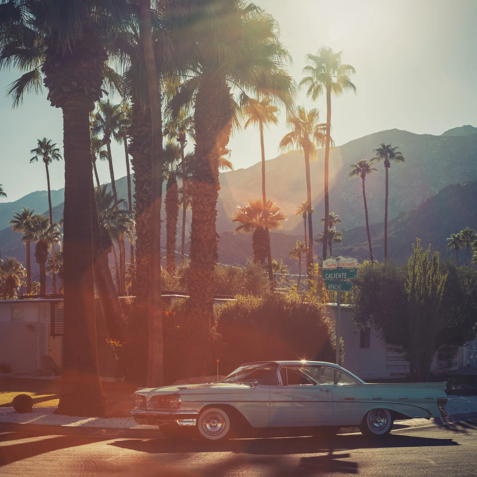 Twin Palms Afternoon