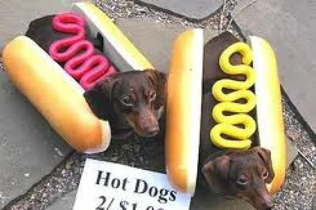 halloweendog.jpg