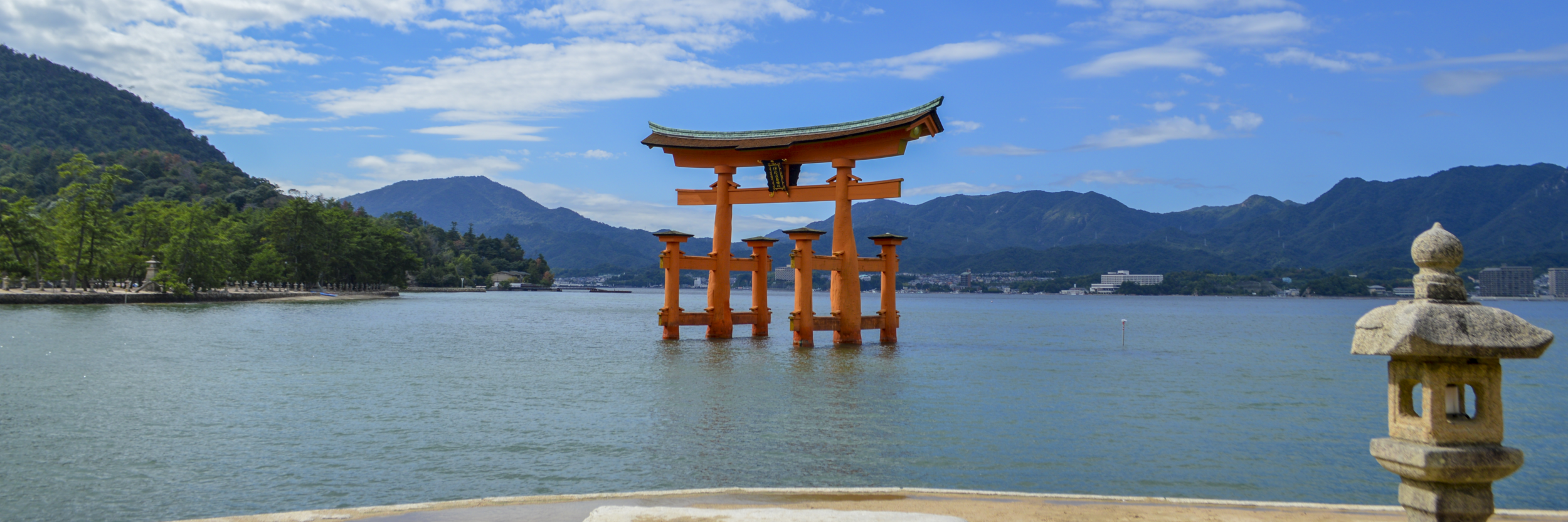 DSC_0643-CROP.png