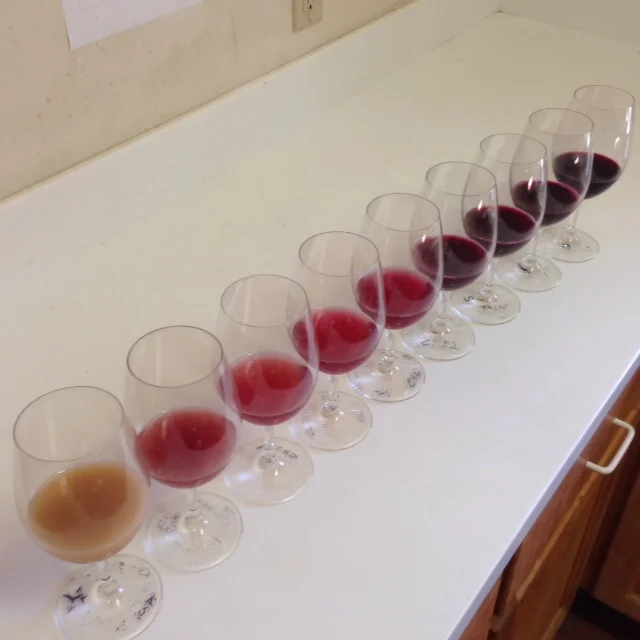 Classes — Inside Winemaking