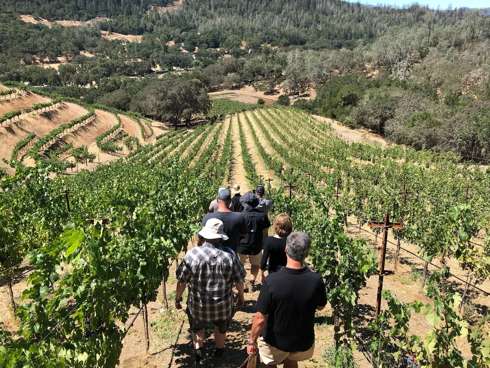 Couples Winemaking Class — Inside Winemaking