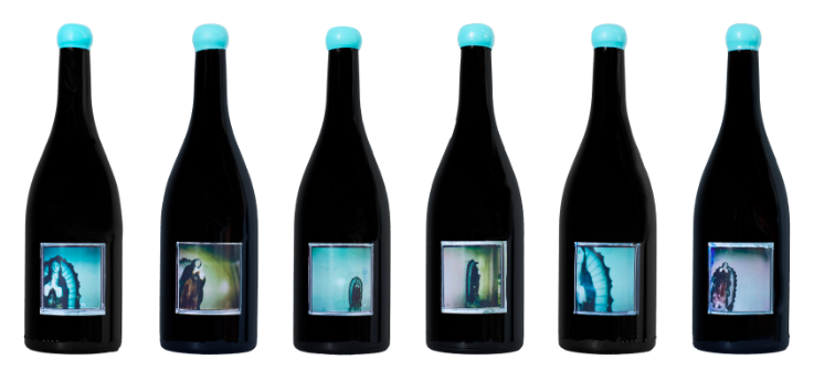 Our Lady of Guadalupe Wines.png
