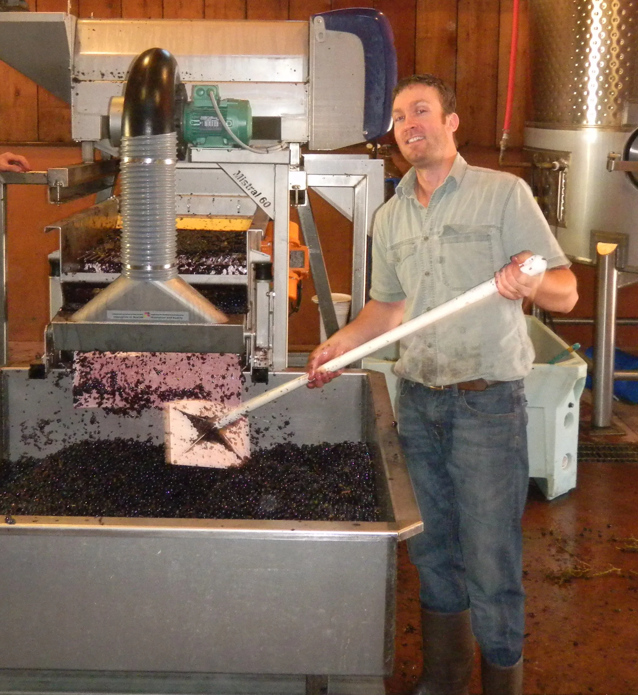Red Wine Grapes.jpg