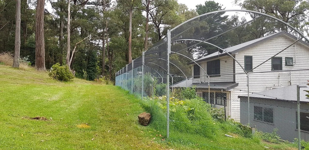 netted structure.jpg