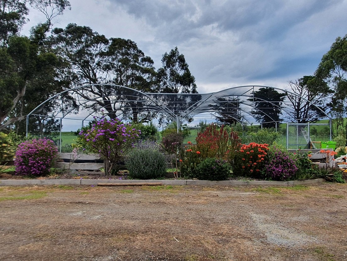 home covered apple trees.jpg