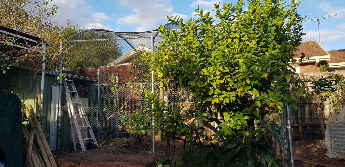 Single Arched Netted Structures — Key Permaculture & Constructions
