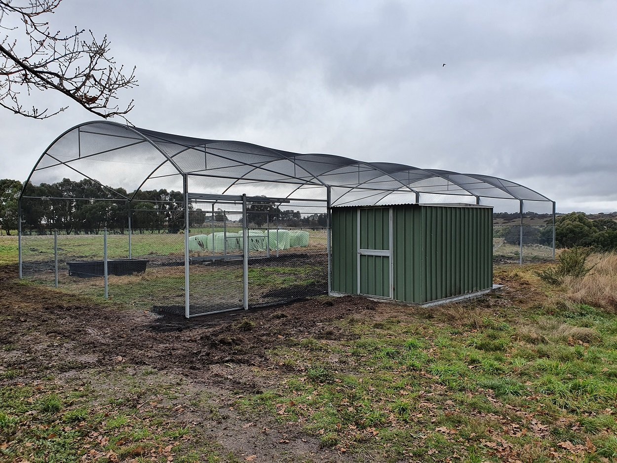 fox proof chicken coop.jpg