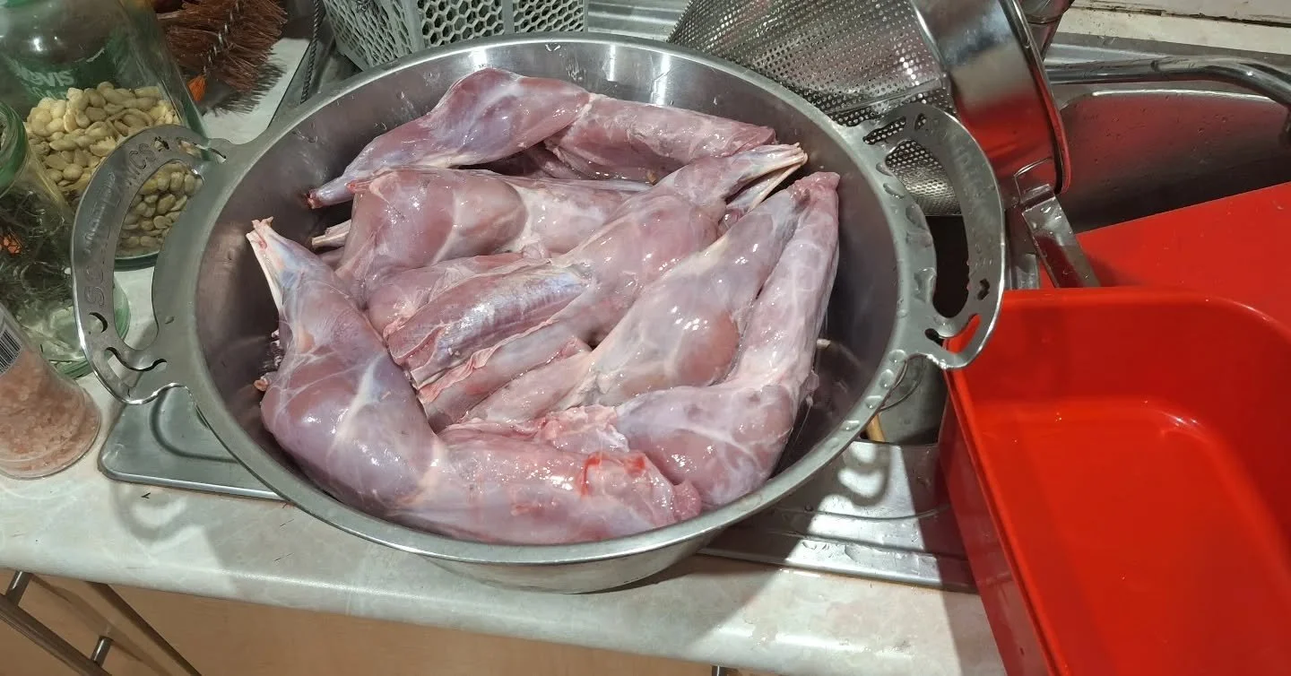 11 rabbit harvest tonight at a local clients property.

The FX Mk3 with the DTN scope from the wonderful team @huntthenight.com.au was brilliant at finding the rabbits in the dark and ensuring ethical humane shots.

These rabbits will get hung tomorr
