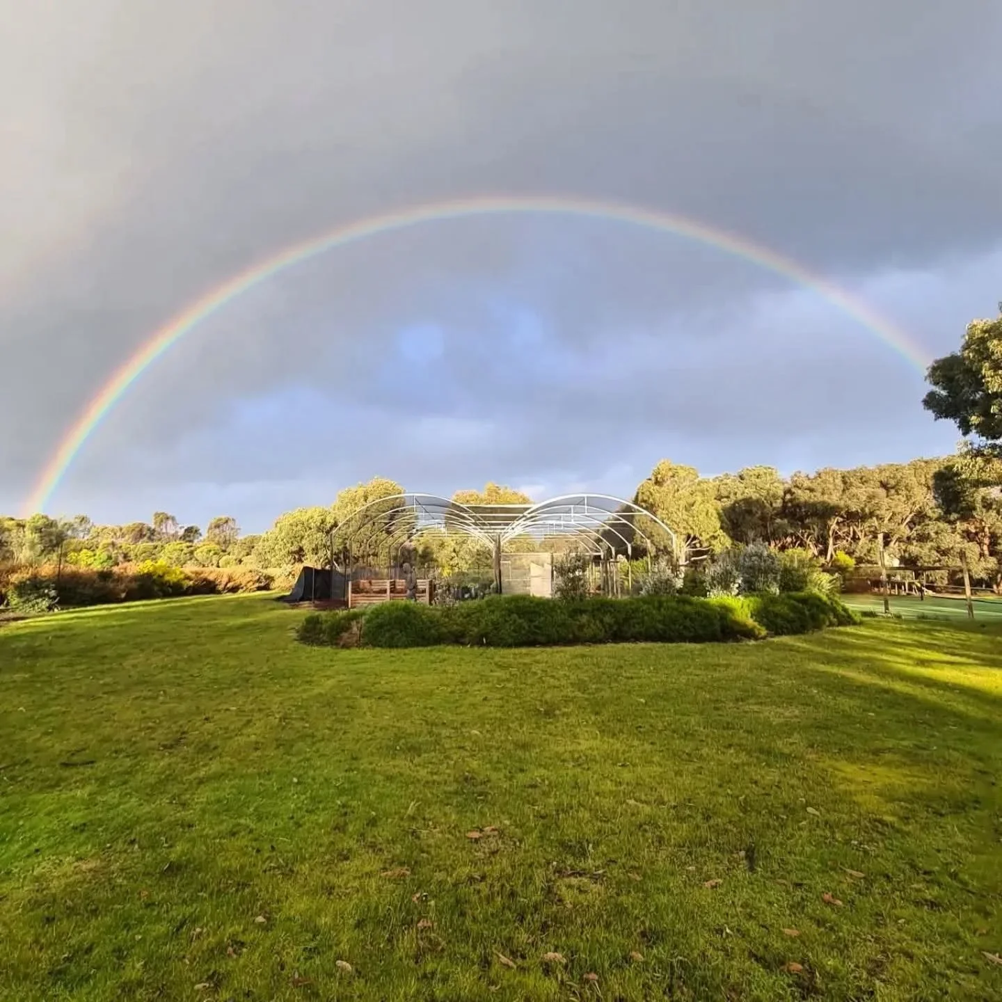 Flashback to Bellbrae 3 years ago 🥰

This is after we did some maintenance and the rainbow was confirmation that the work was done and it's time to spend 2 1/2hrs driving home!

#keypermaculture #professionalpermaculture #totalharvestprotection #rai