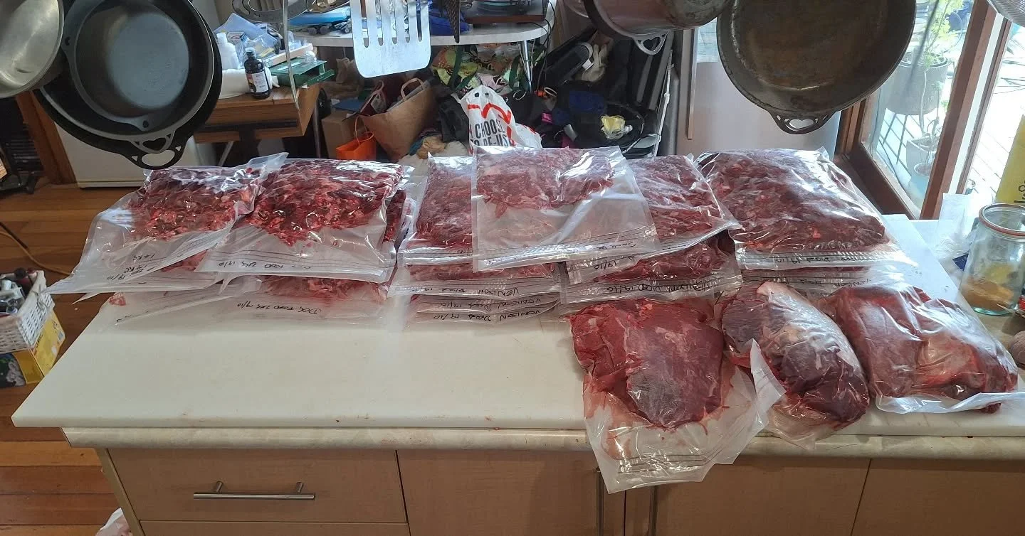 Final tally is in!

37kg of venison kidney plate minced and sealed in 3kg lots (except the last 1kg!)

9kg of back leg meat to make jerky with later.

17kg of off cut meat and fat kidney plate diced sealed in 2kg lots for dog food.

Plus the backstra