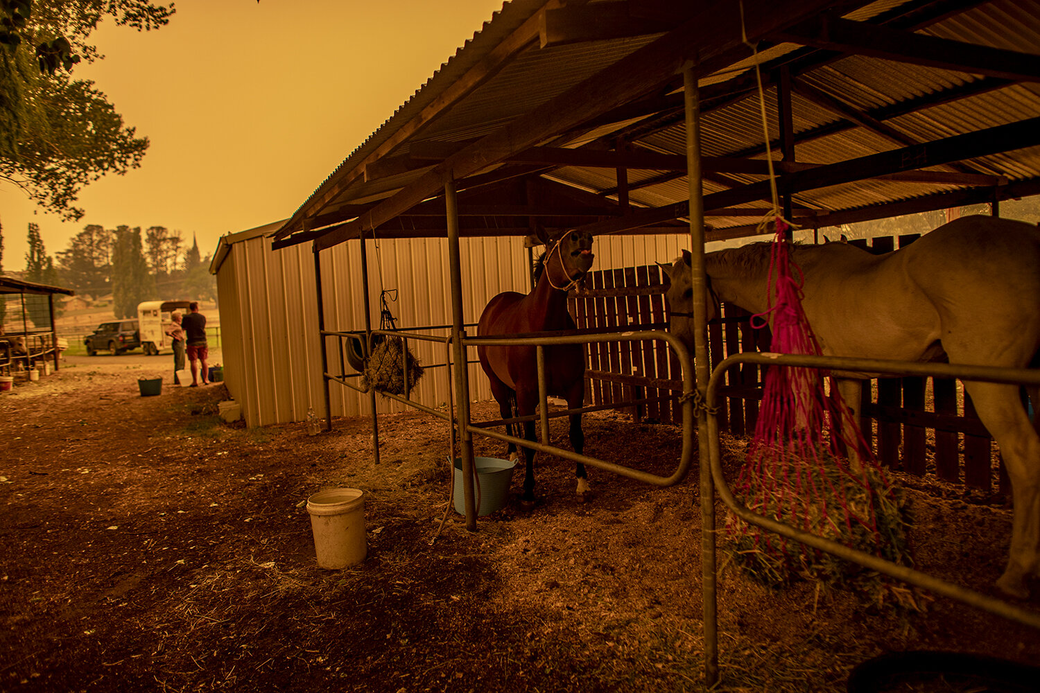  Erni and Bubba in the growing haze of smoke from the encroaching fires. 