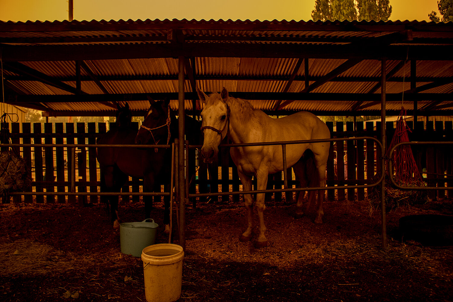  Bubba and Erni in the increasing smoke haze 