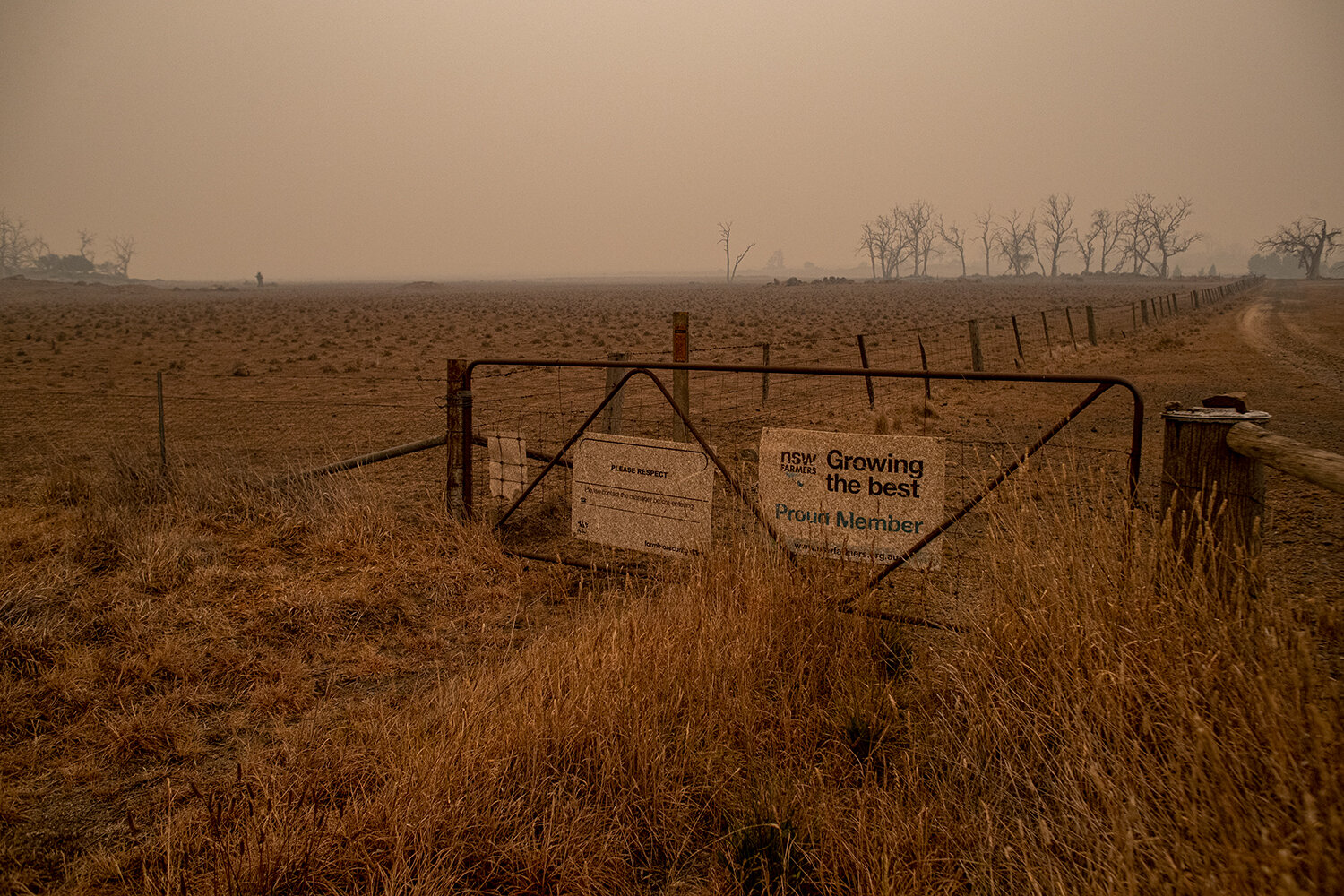  Smoke haze was a continuous feature in the Snowy Monaro region for months during the ‘Black Summer’ bushfires. The impact on humans and animals is inestimable. As the smoke haze sat eerily and heavy on the landscape it filled the lungs of all living