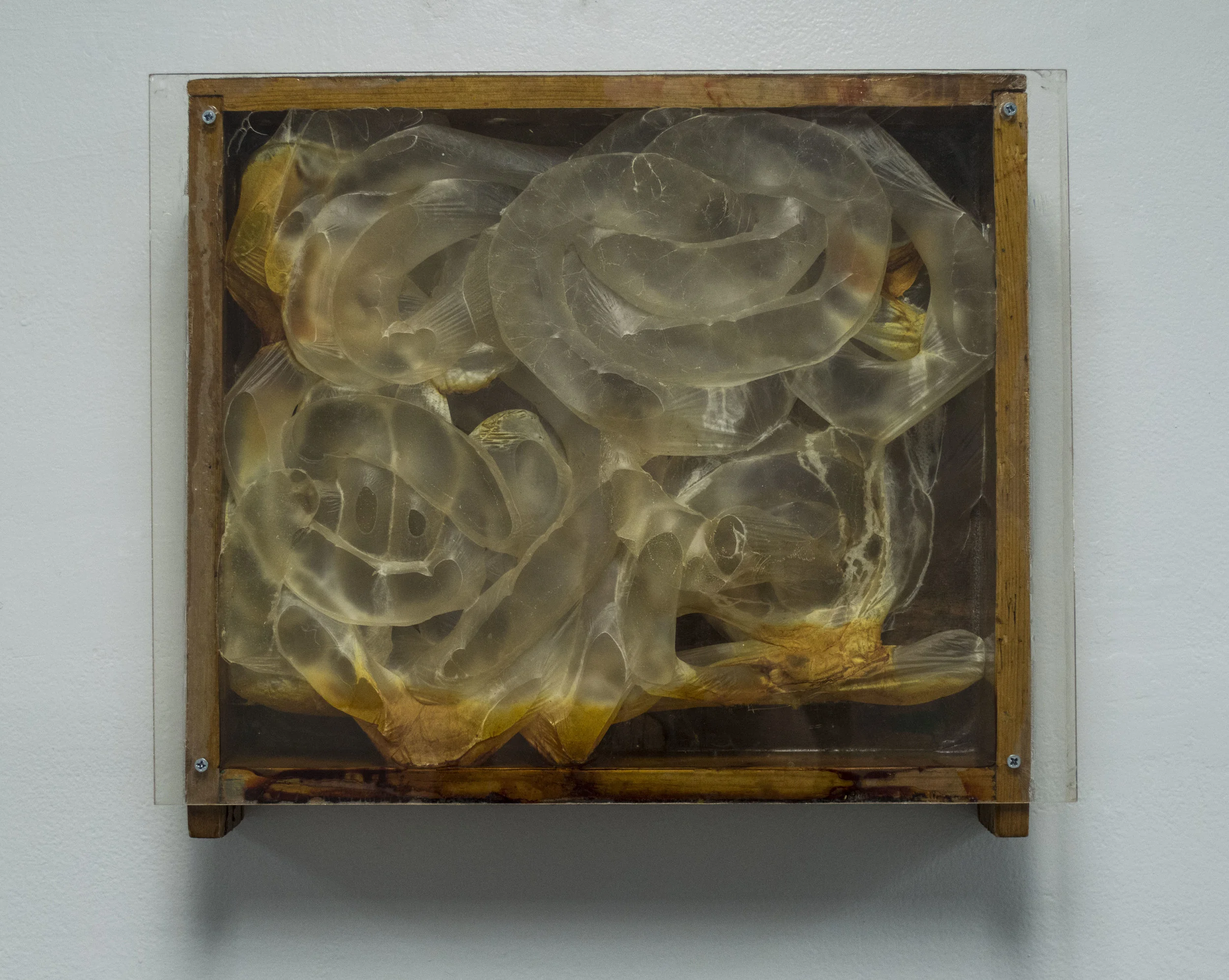 Box, casings, iodine.jpg