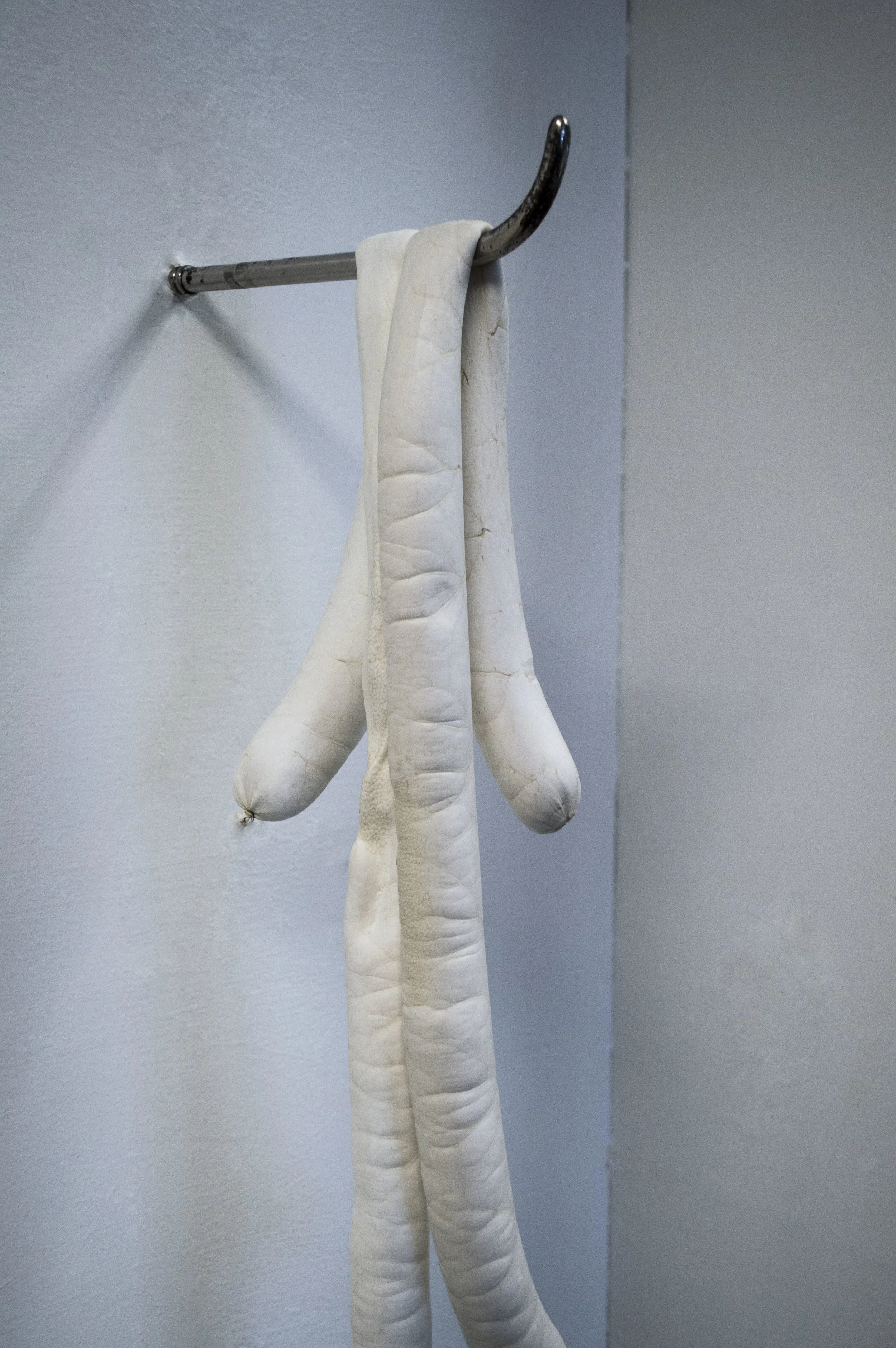 Hook, plaster, casing.jpg