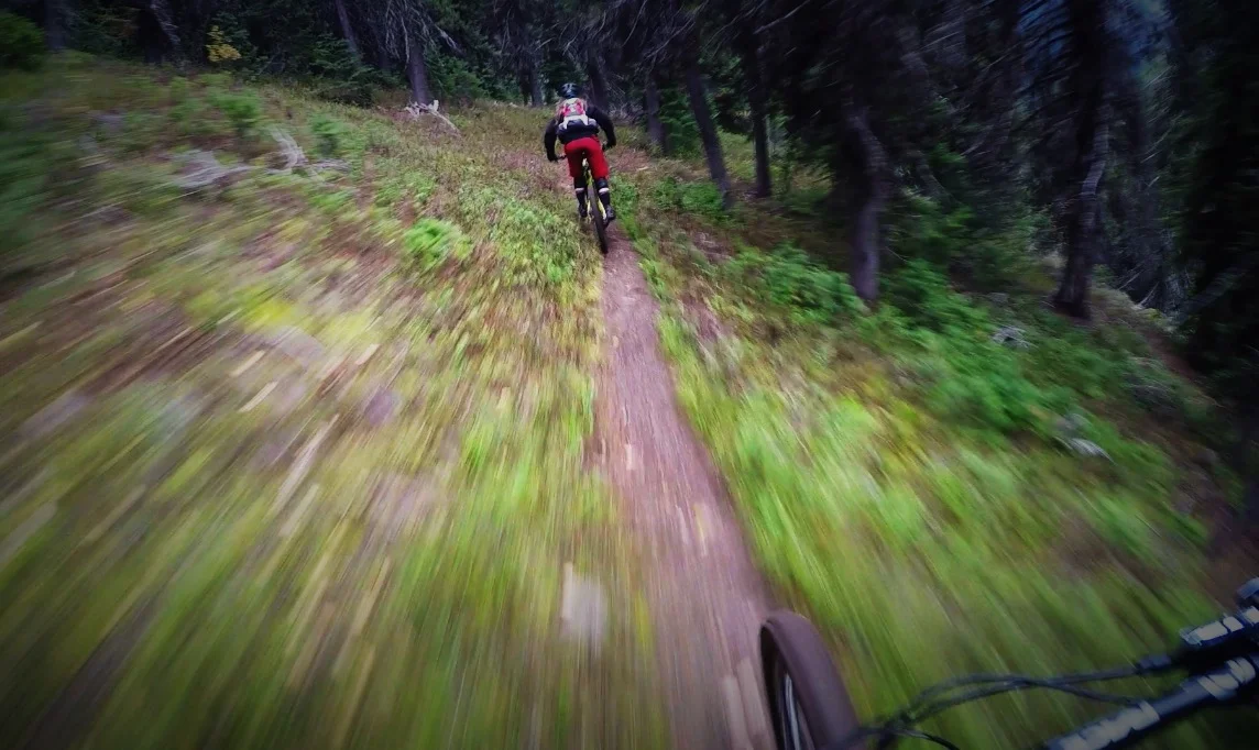I don't have any pictures of the good stuff as I was having way too much fun riding to stop and take a photo!! This was taken just after the prime zone; still awesome singletrack.