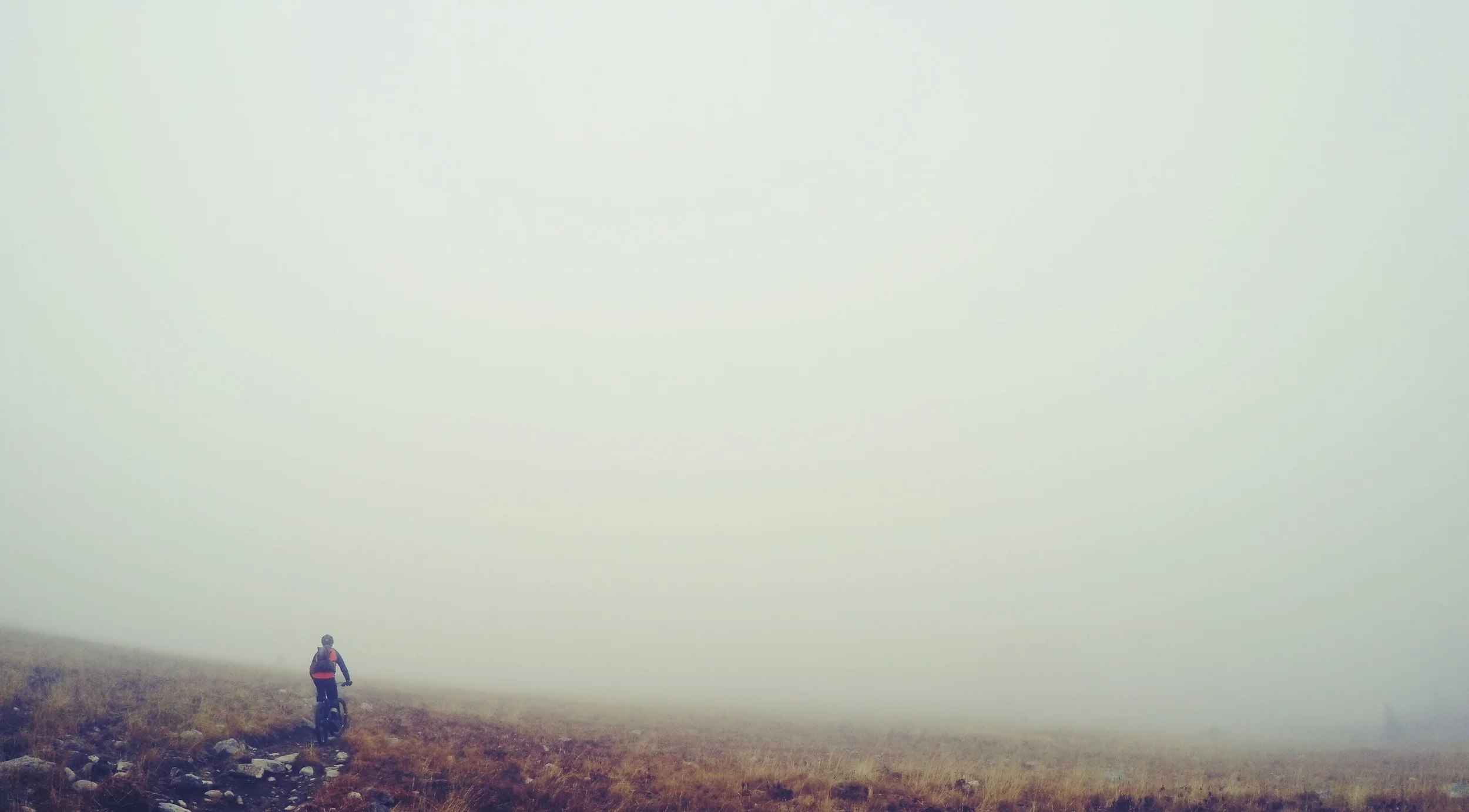 chasing the fog