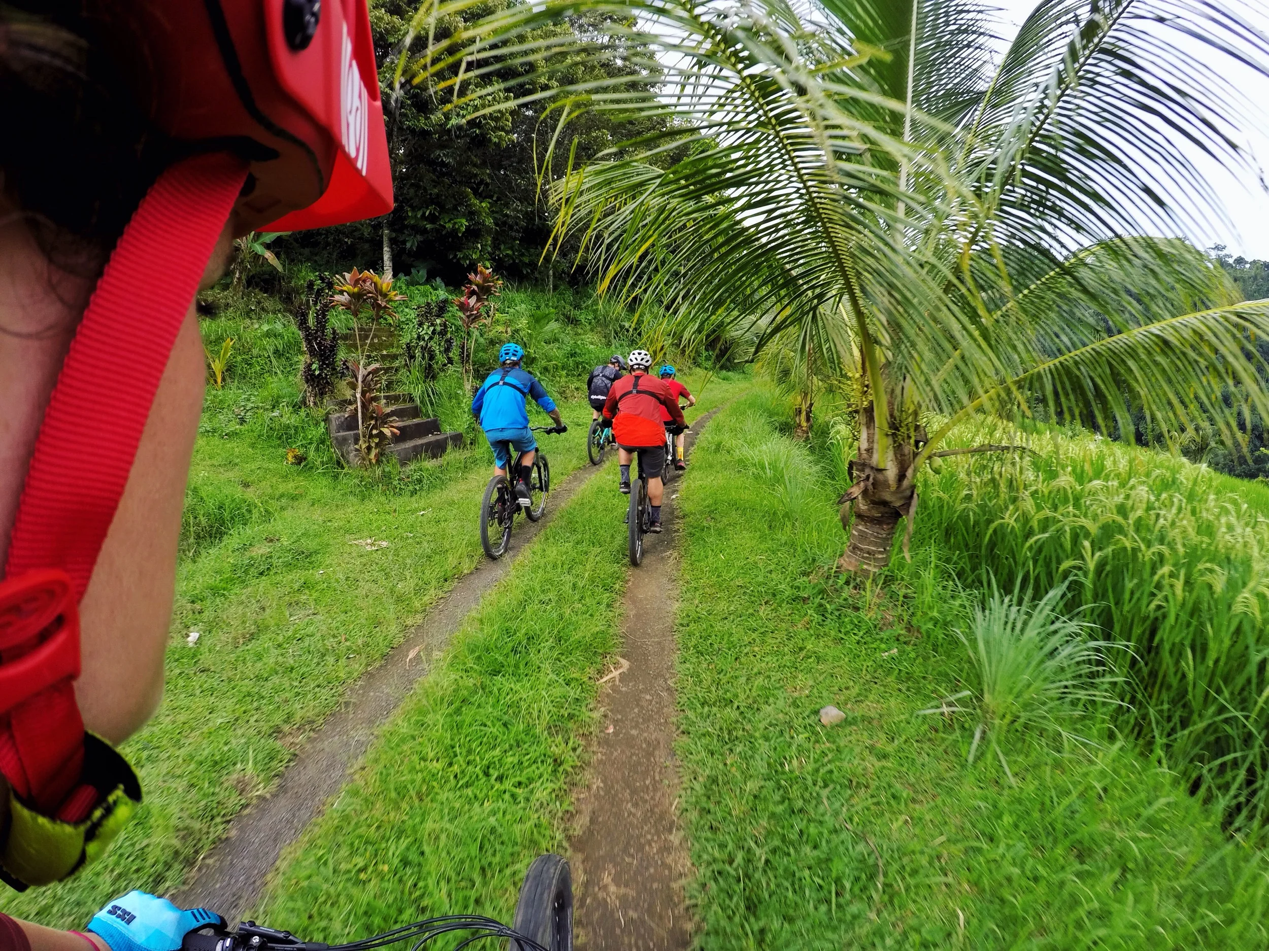 snaking double and singletrack roads wound their way through the rice fields.