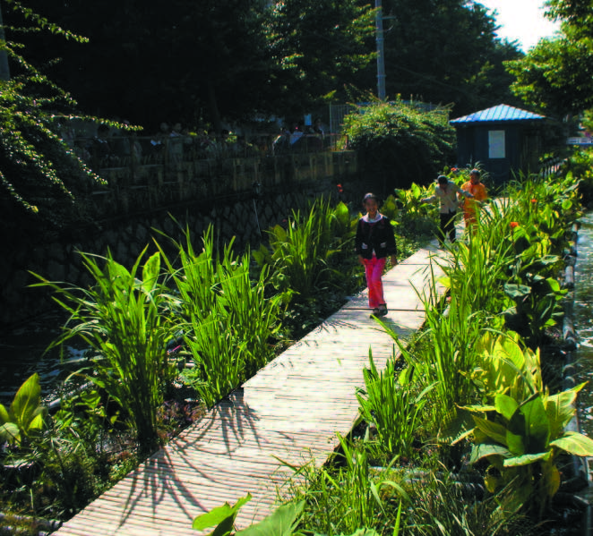 Canal sewerage treatment Baima China - inspiration behind application in an informal settlement n South Africa
