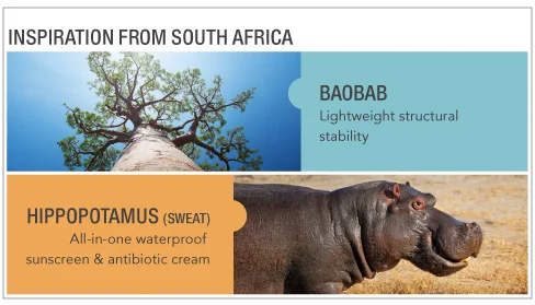 Discover_SAfrica_2015.jpg