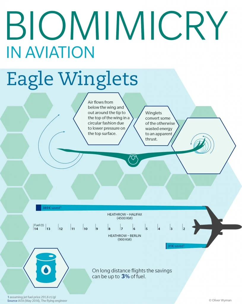 Biomimicry in aviation.jpg