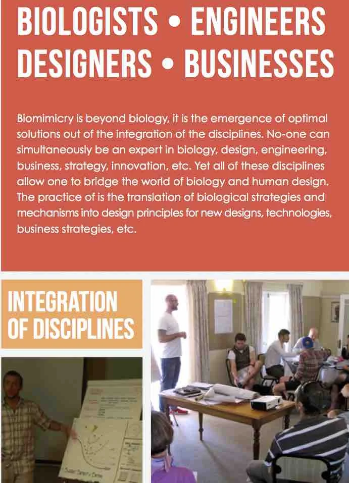 Disciplines.jpg