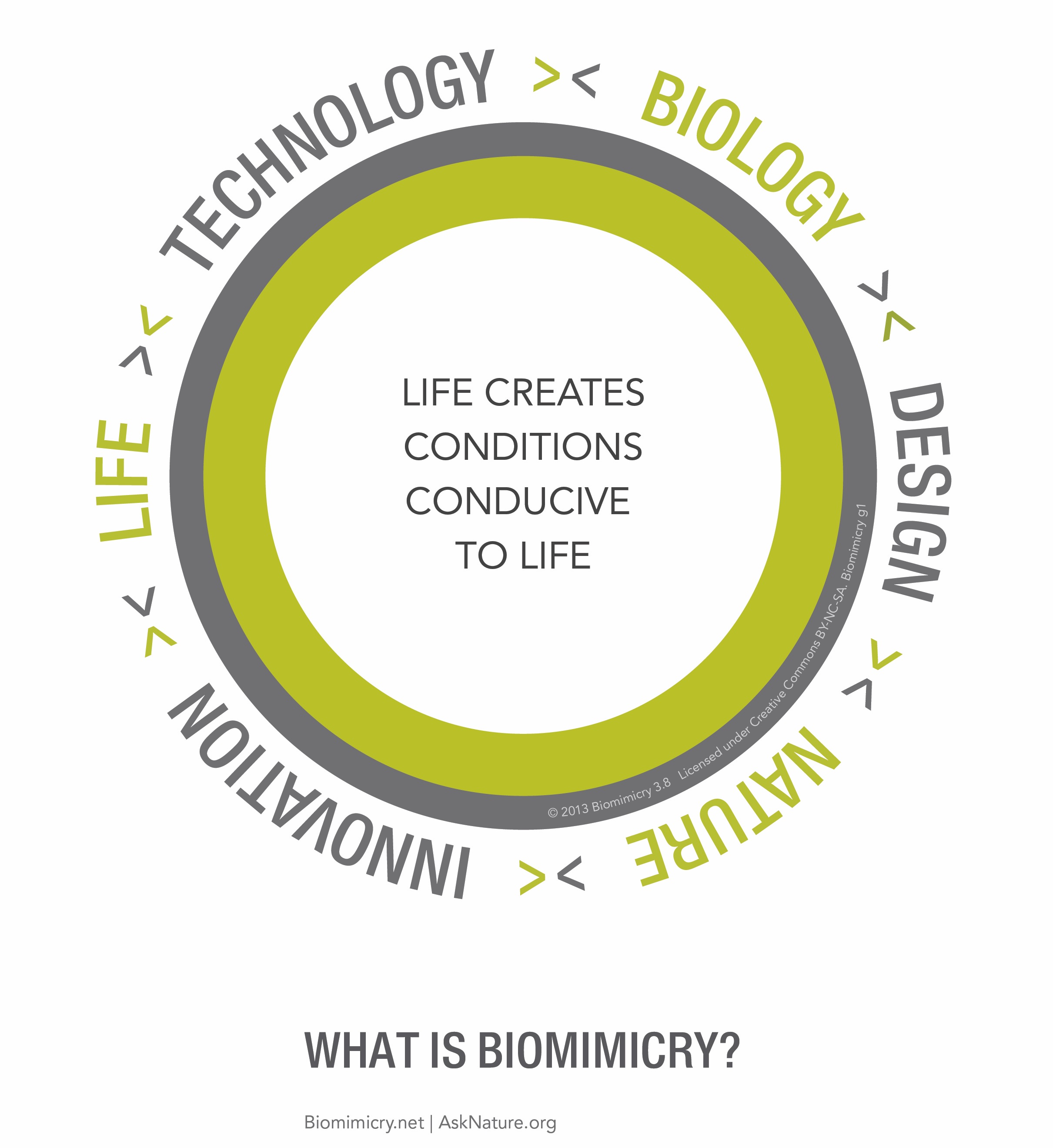What is Biomimicry?.jpg