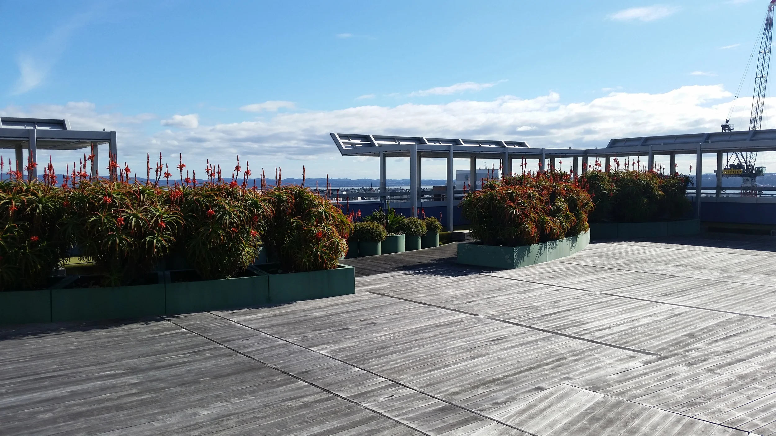 The Wakefield Street Observation Deck- only open between office hours?