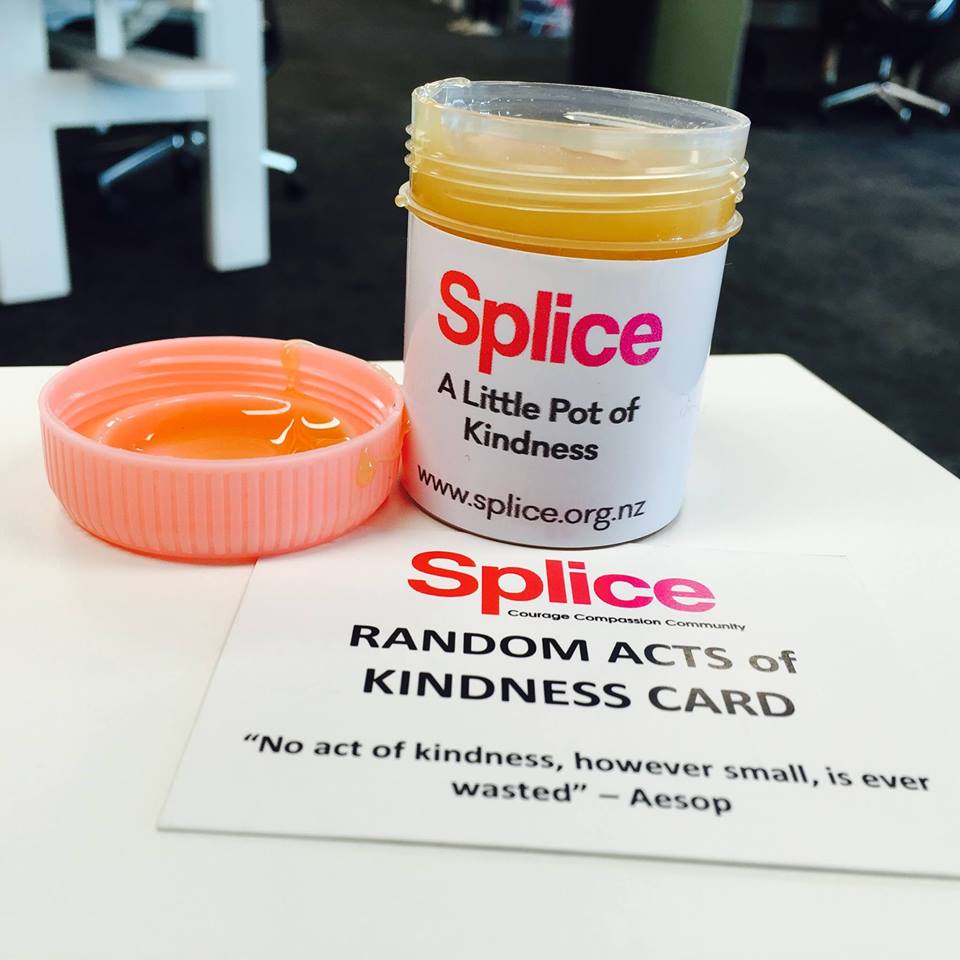 Auck HArbour News Pot of Kindness.jpg