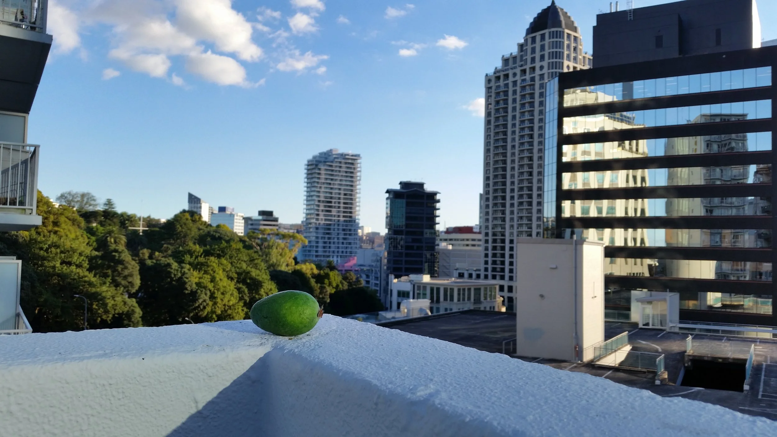 1 Edgy  NOT ELIGIBLE.jpg