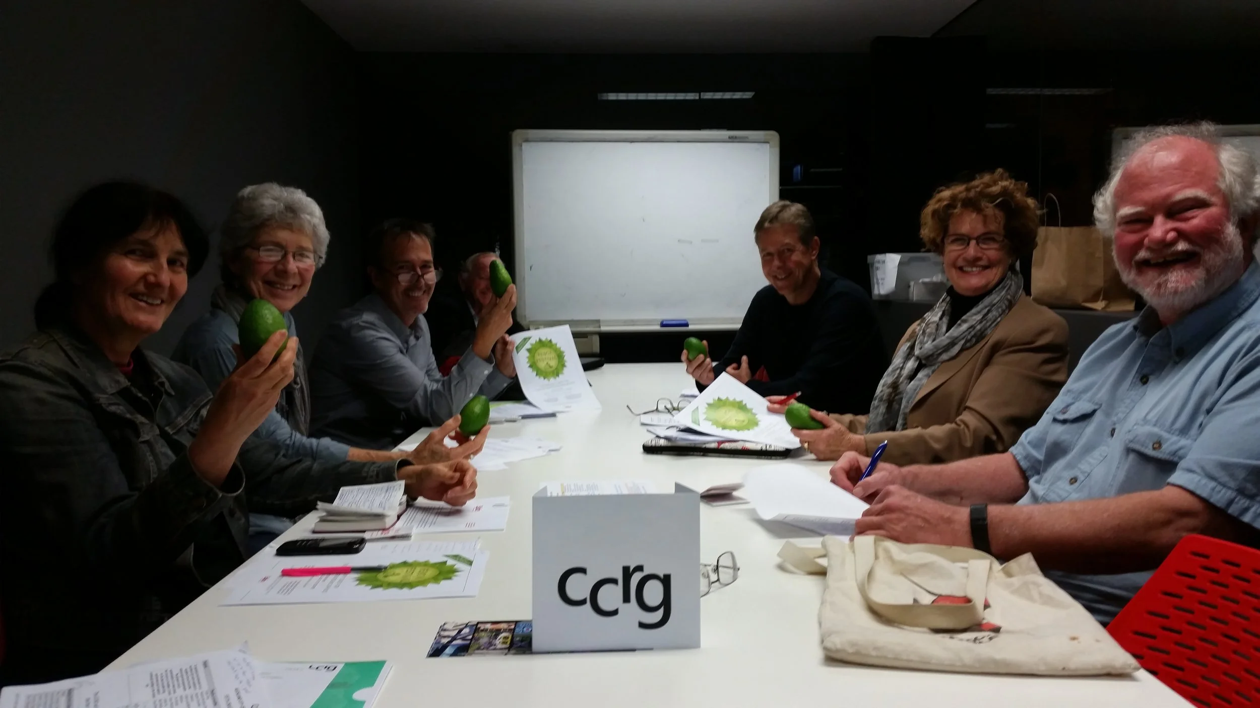 30 Represent by Feijoa - City Centre Residents Group.jpg