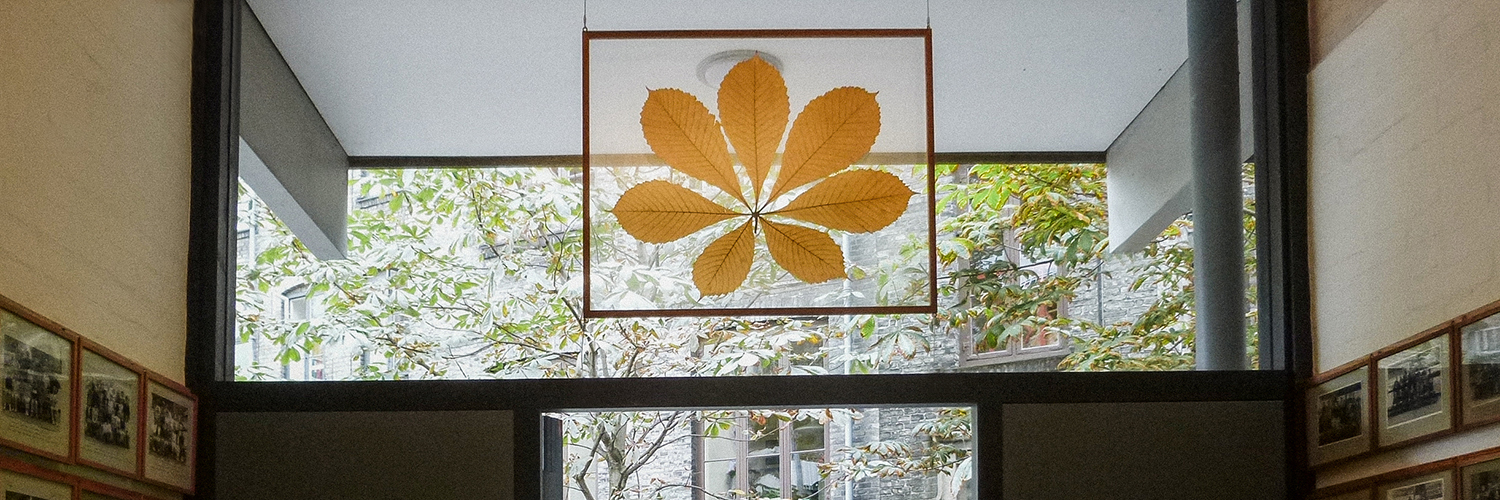 P1000896.jpg