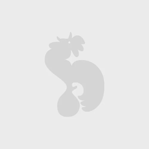  Nikolaj Florang Olsen  Idræt, historie, It-medarbejder   nfo@krebsskole.dk  