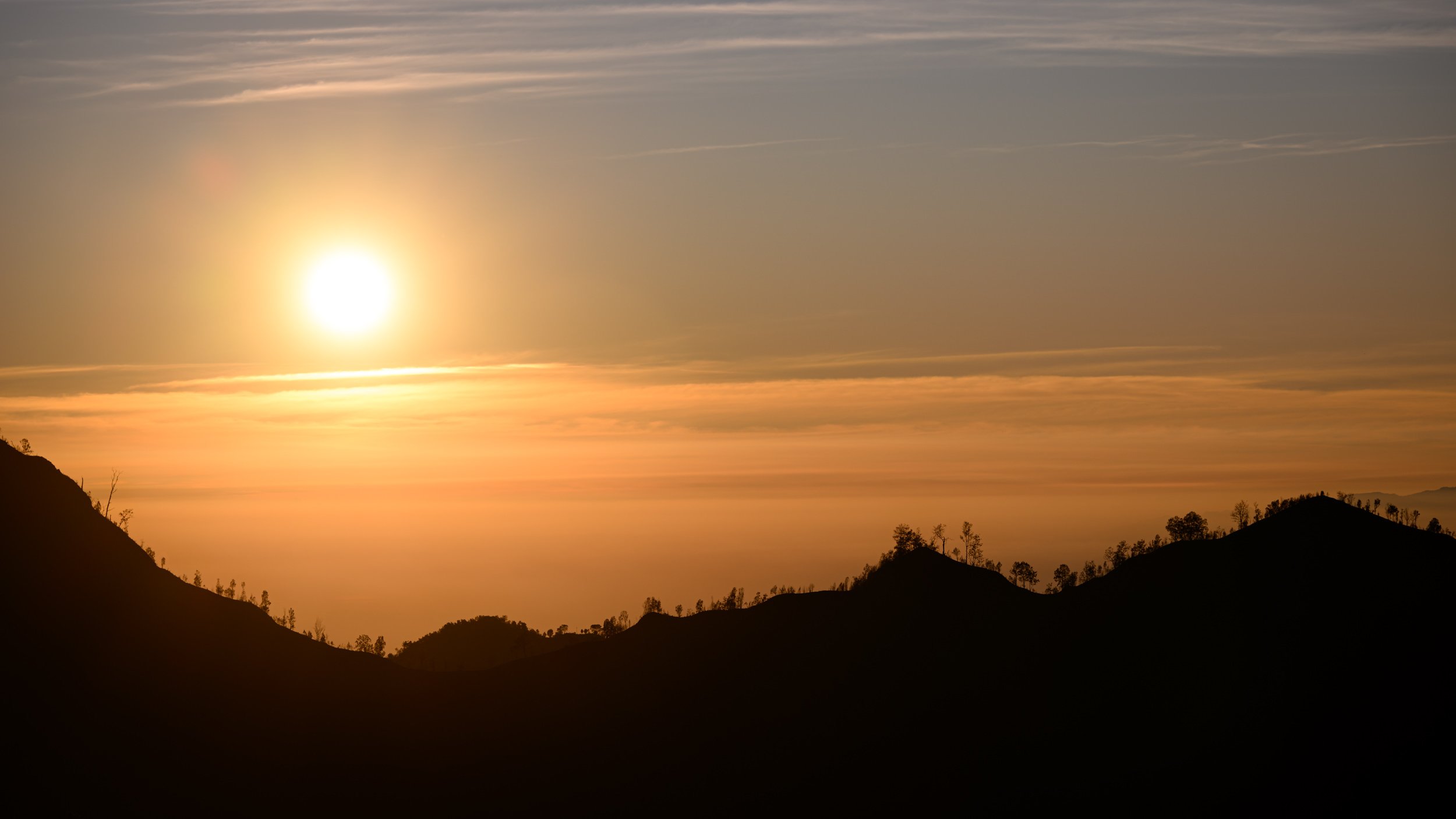 bromo_treeline.jpg