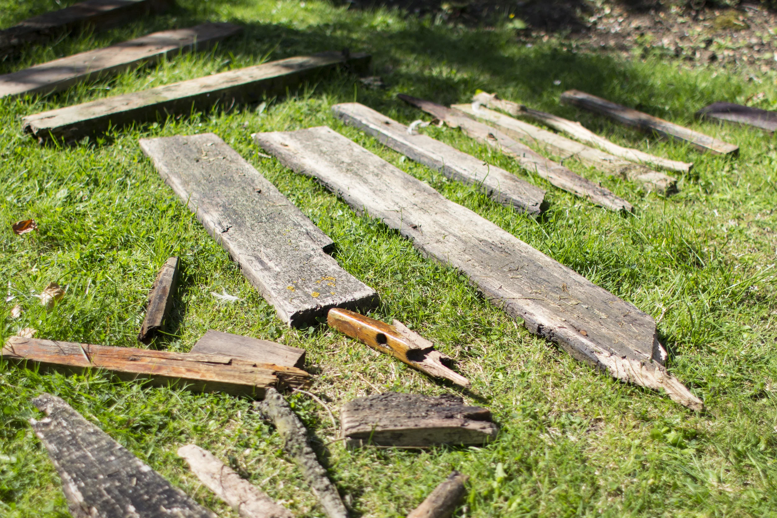 driftwood straight from the beach.jpg