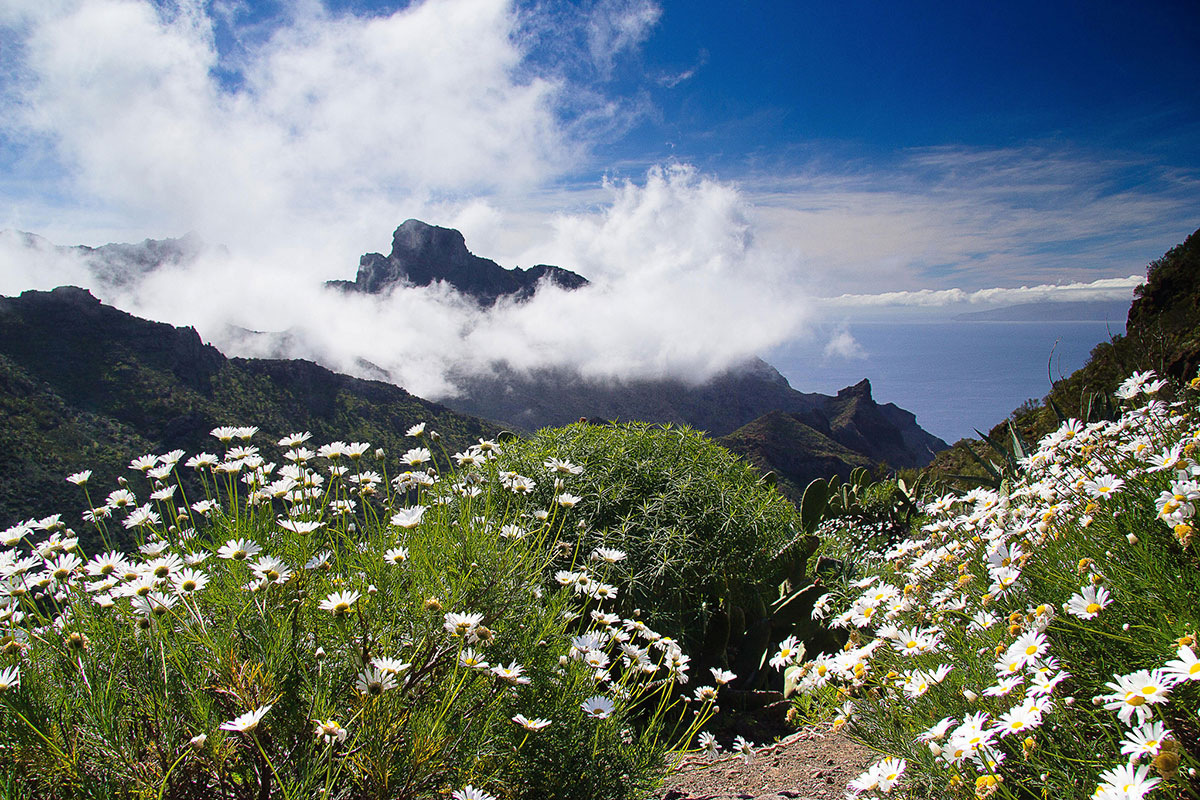 Tenerife, Spain