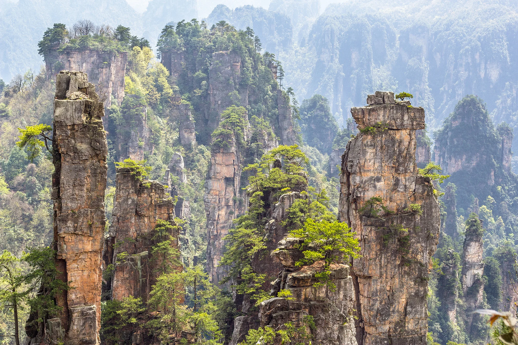 Zhangjiajie National Park, Hunan, China