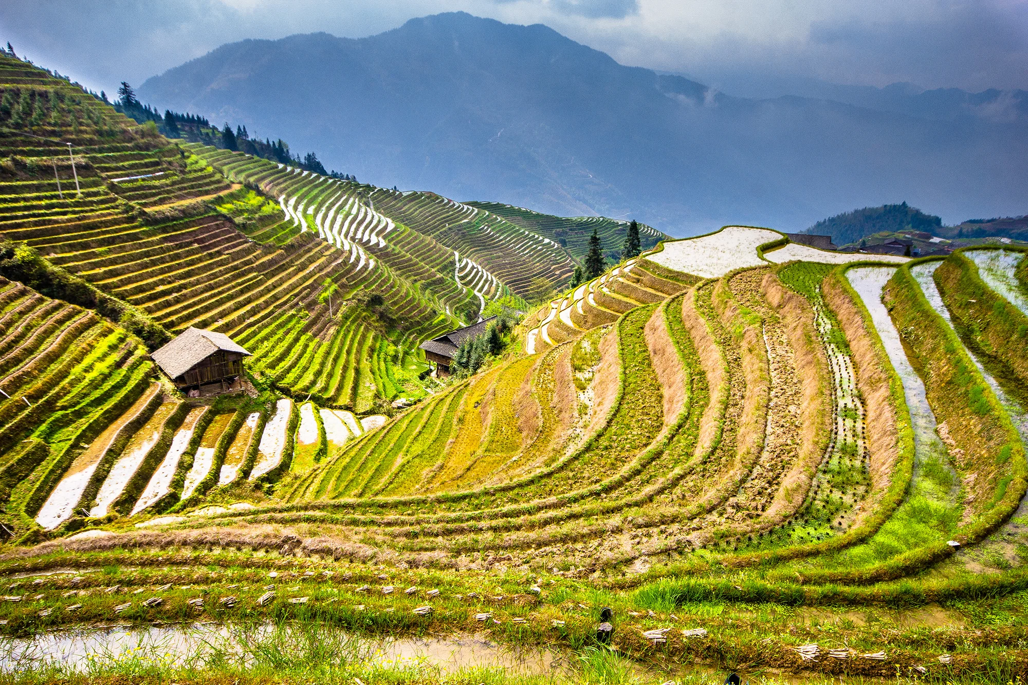 Longji Terraces, Guilin, Guanxi, China