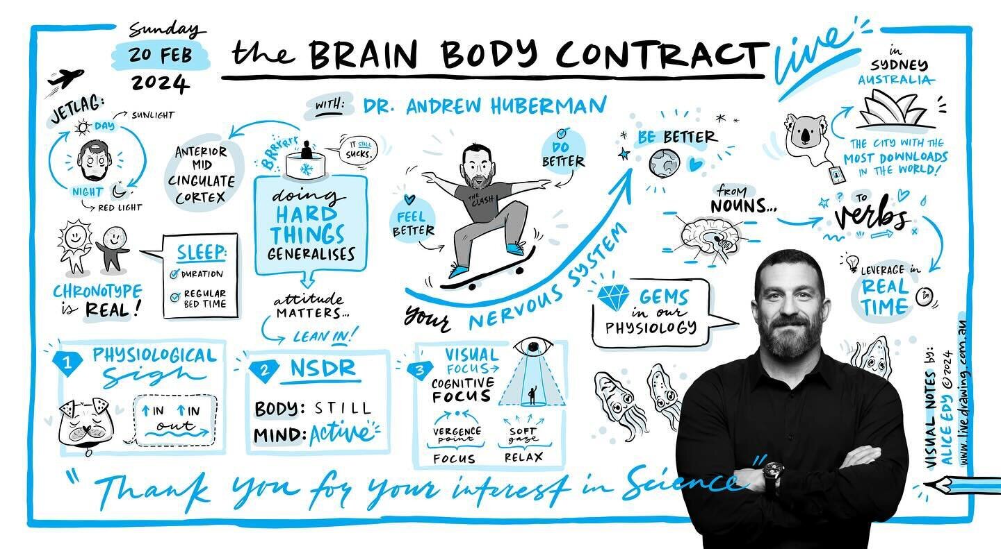 I got to nerd-out at the @hubermanlab LIVE show in Sydney a few days ago&hellip; here are my visual notes from the talk. I am continually grateful to learn more about self-regulation and how to make friends with my nervous system 💙 &hellip; Also, I 
